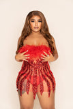 “Snob” mini dress (Preorder)-Red